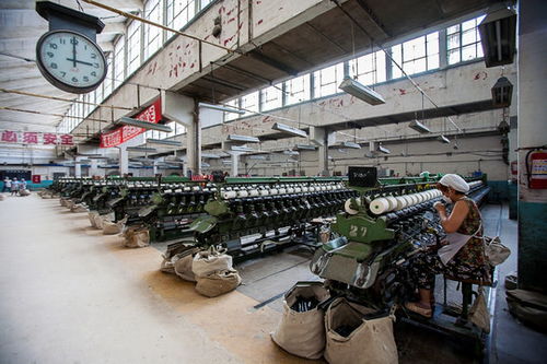 复盘 2020全年棉纺织行业生产运行情况,中国棉纺织平台